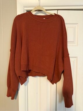Wishlist Cropped Crewneck Sweater in Rust